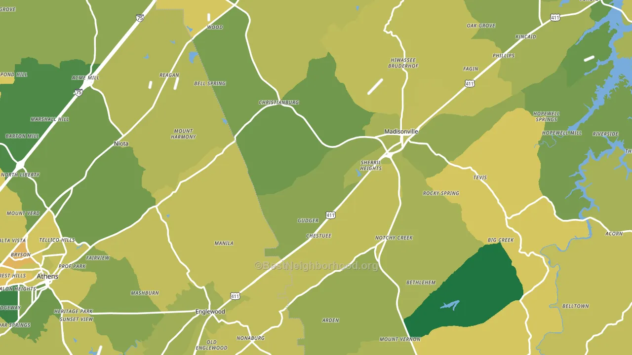 Mount Vernon, TN block-group voter-turnout map