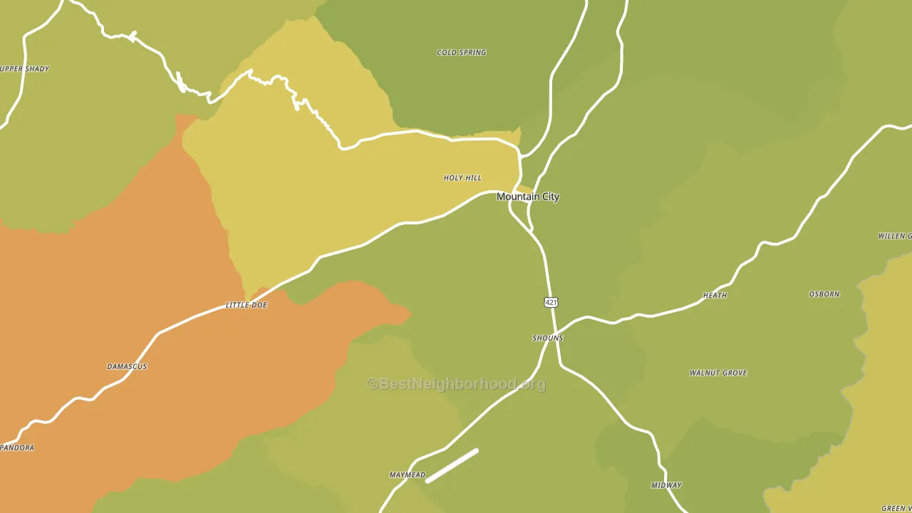Mountain City, TN block-group voter-turnout map