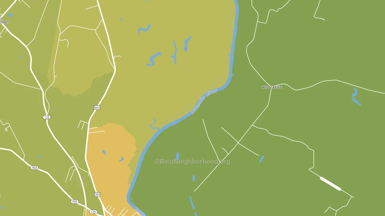 Mud Castle, NC block-group voter-turnout map
