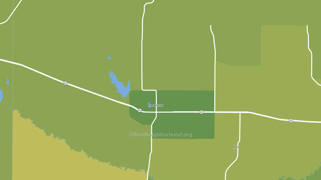 Muenster, TX block-group voter-turnout map