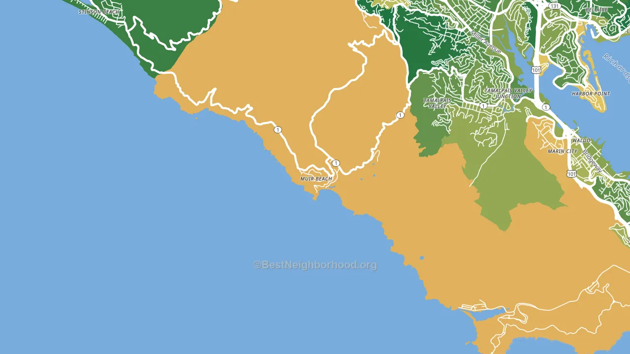 Muir Beach, CA block-group voter-turnout map