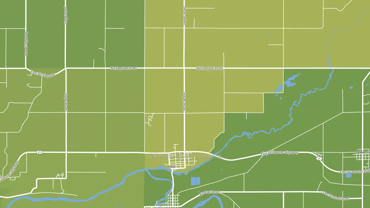 Muir, MI block-group voter-turnout map