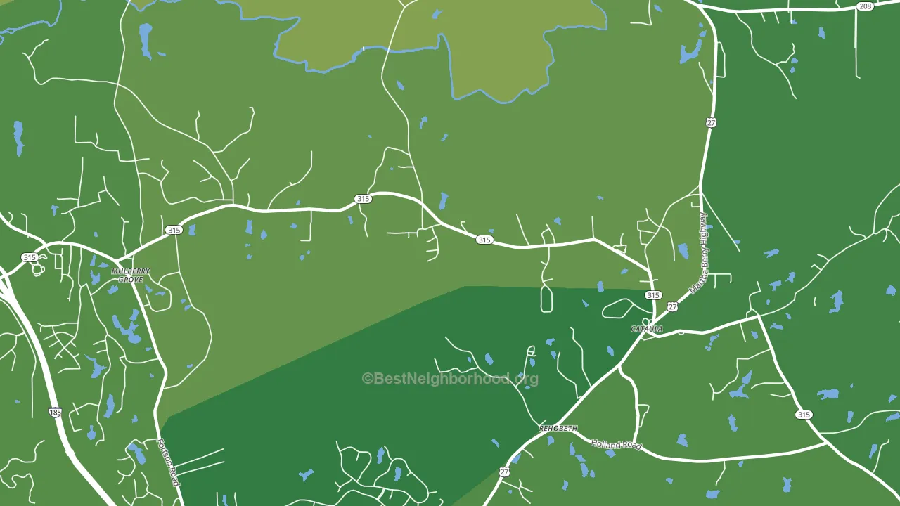 Mulberry Grove, GA block-group voter-turnout map