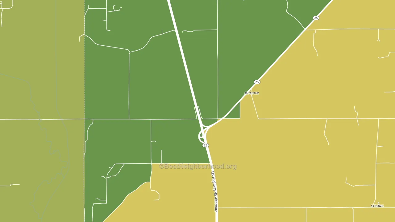 Muldon, MS block-group voter-turnout map