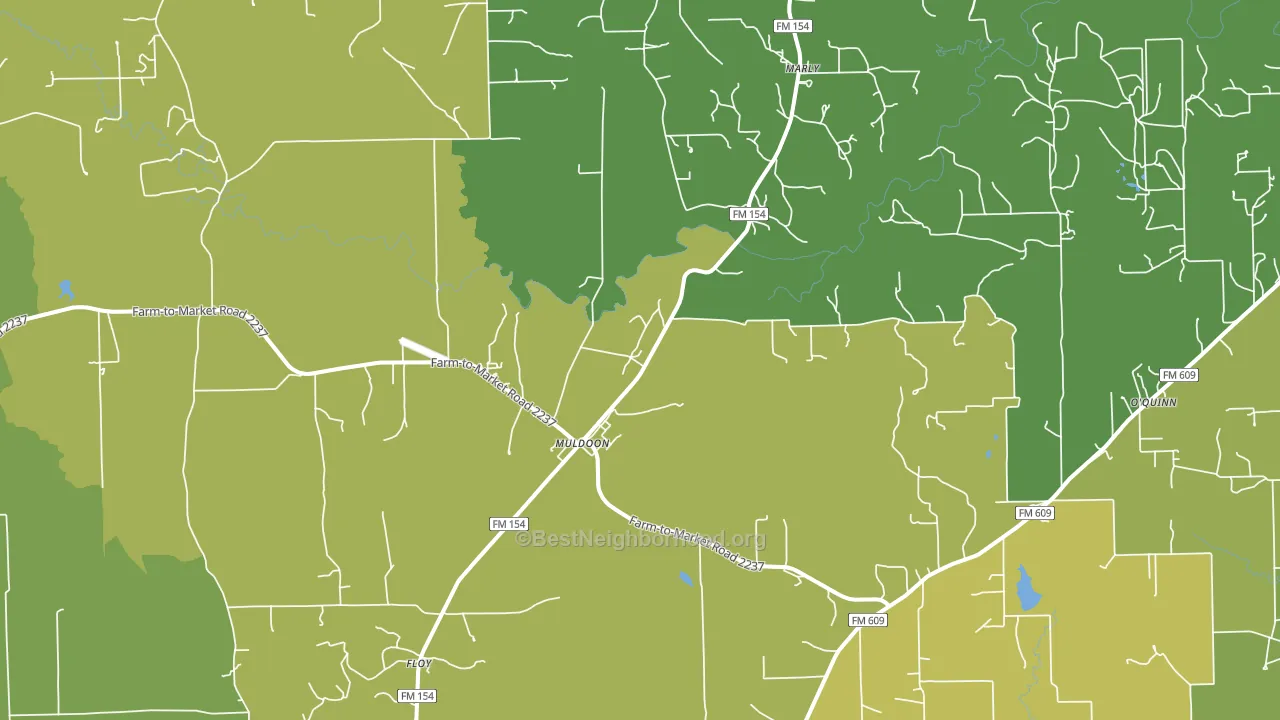 Muldoon, TX block-group voter-turnout map