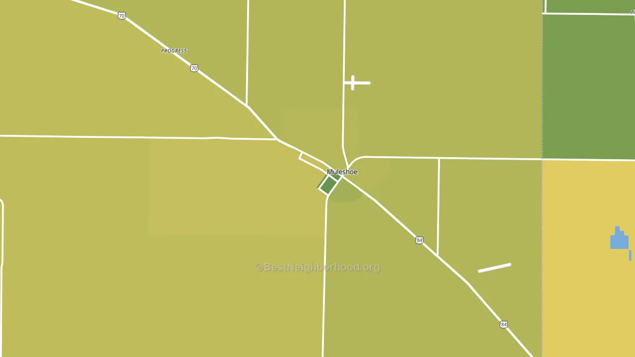 Muleshoe, TX block-group voter-turnout map