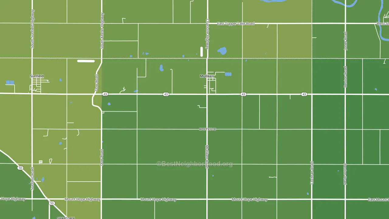 Mulliken, MI block-group voter-turnout map