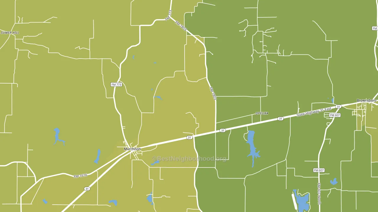 Murchison, TX block-group voter-turnout map