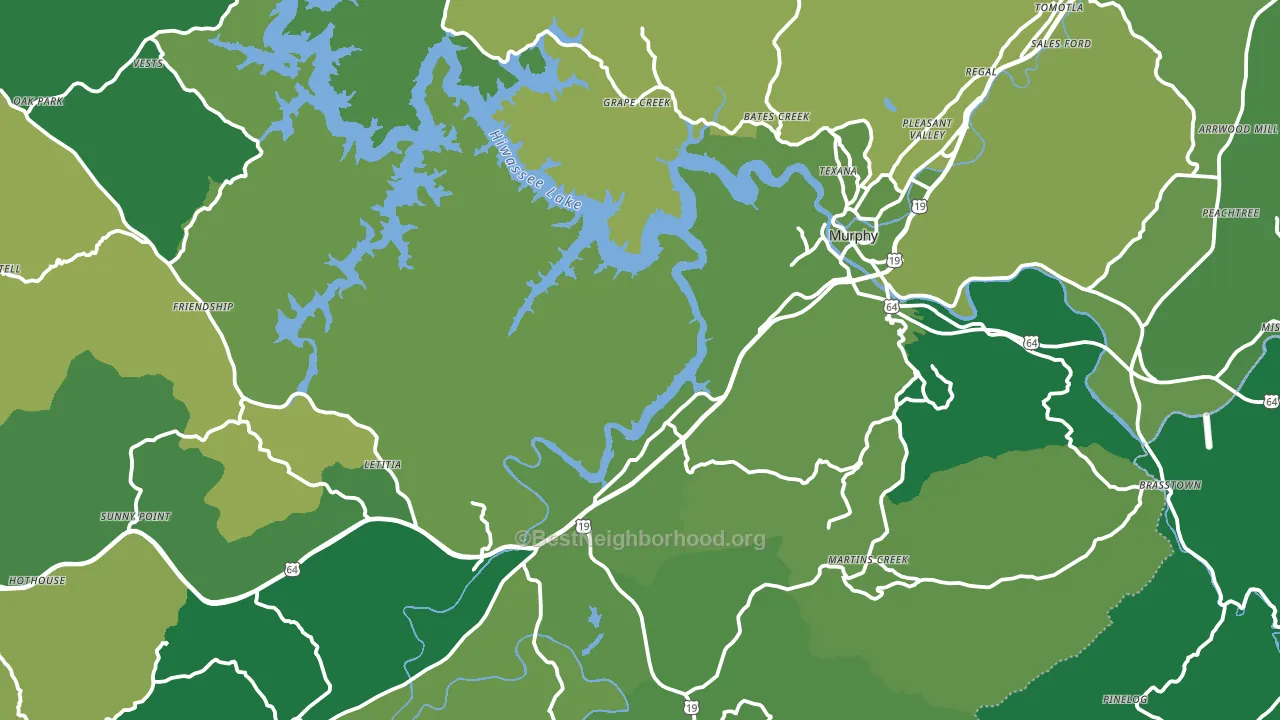 Murphy, NC block-group voter-turnout map