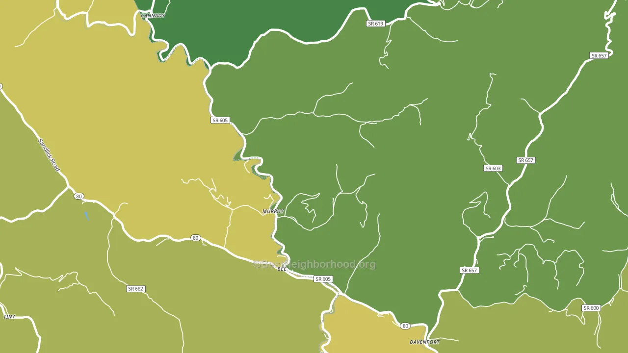 Murphy, VA block-group voter-turnout map