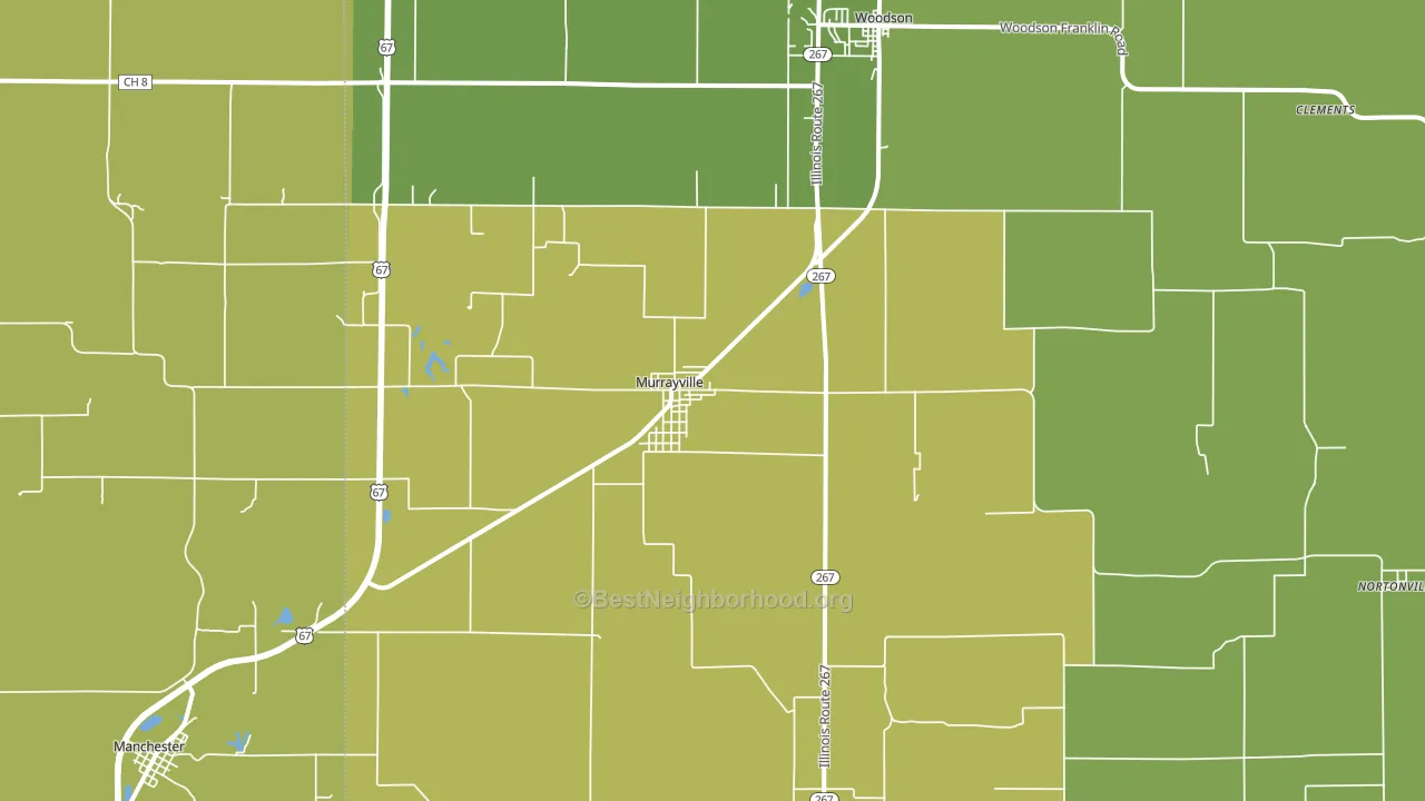 Murrayville, IL block-group voter-turnout map