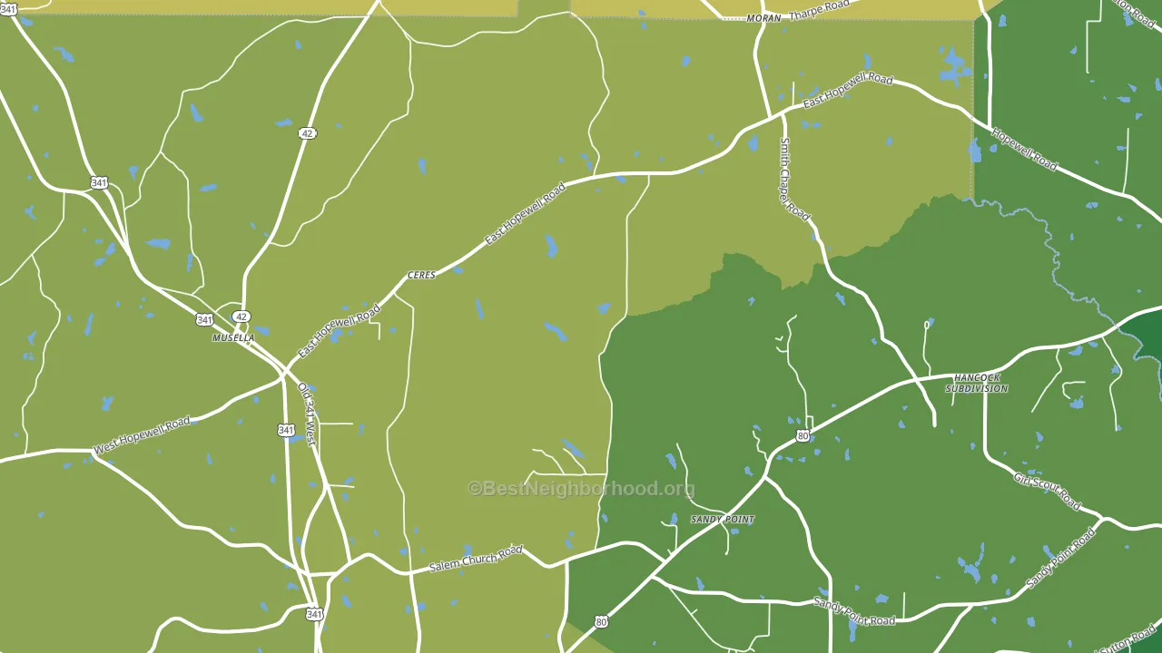 Musella, GA block-group voter-turnout map