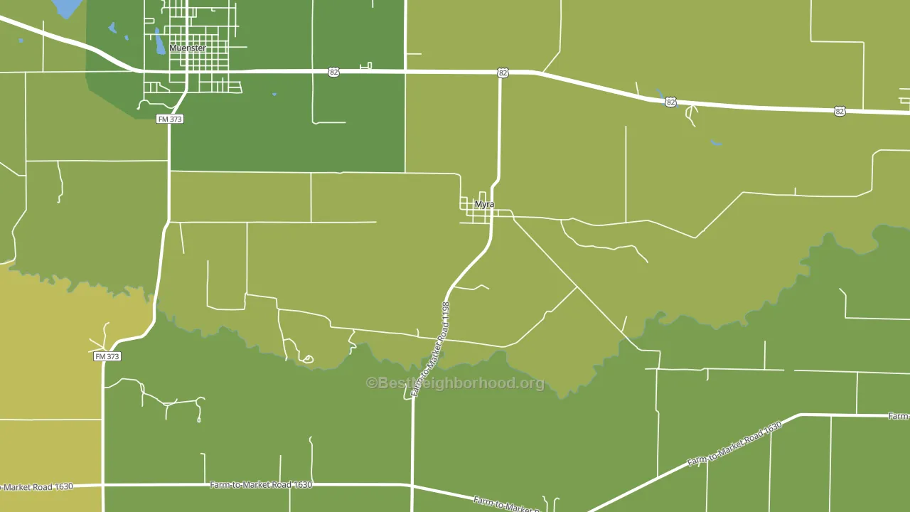 Myra, TX block-group voter-turnout map