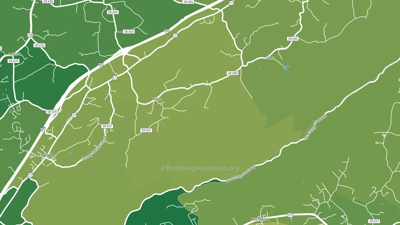 Nace, VA block-group voter-turnout map
