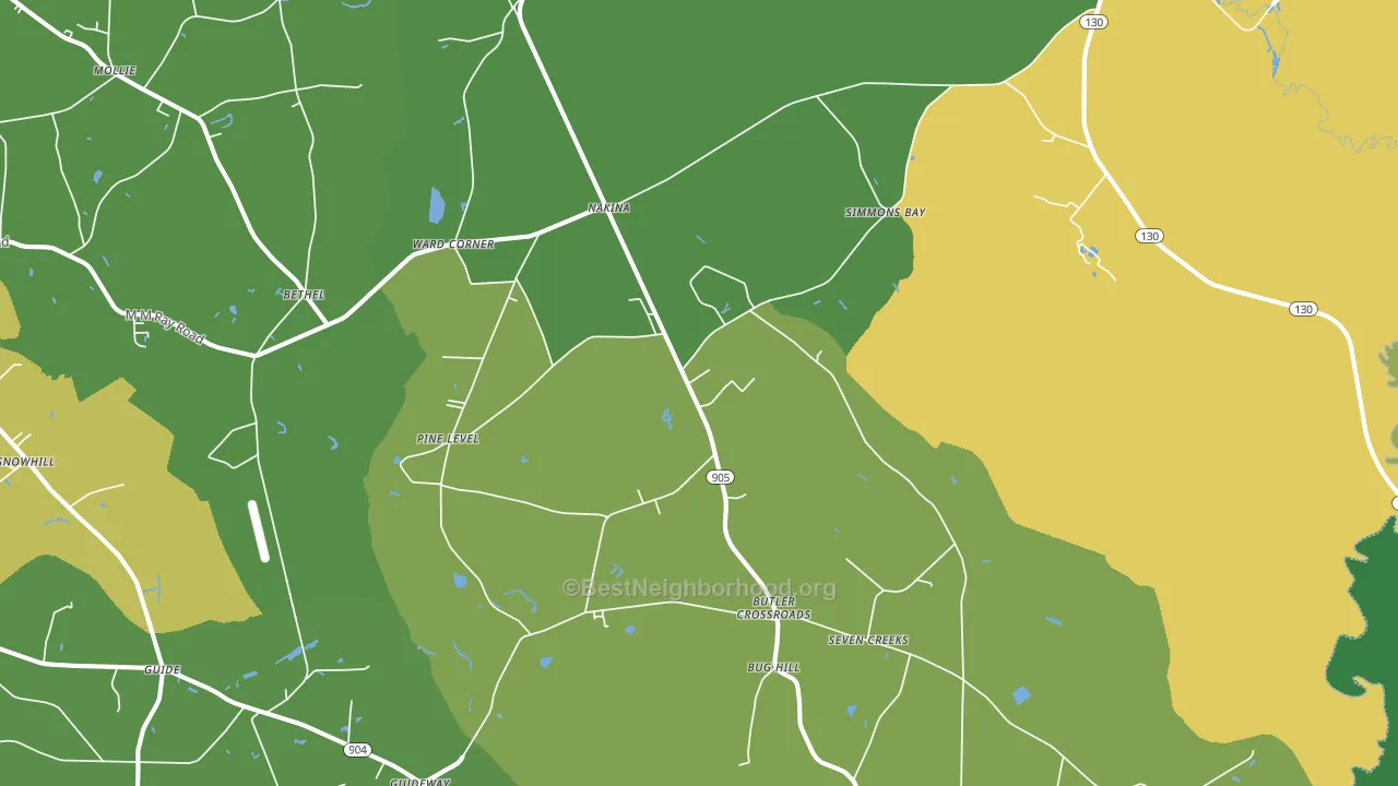 Nakina, NC block-group voter-turnout map