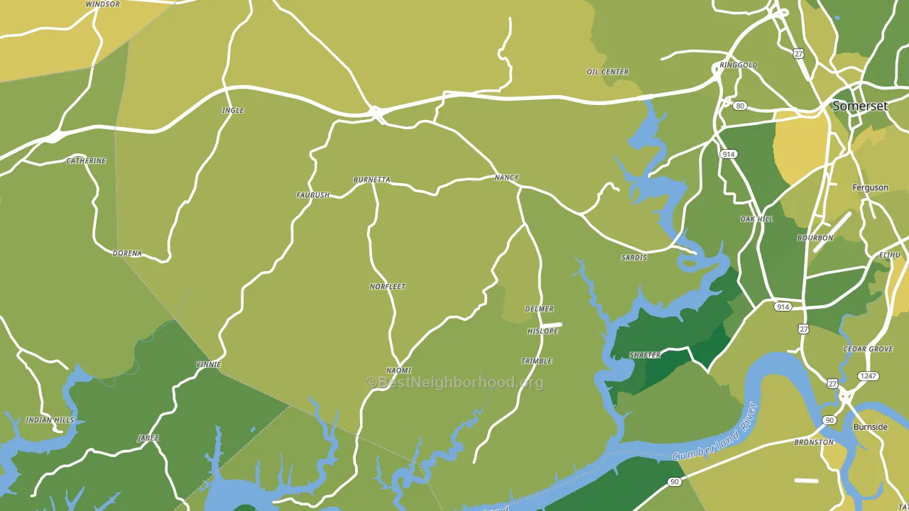 Nancy, KY block-group voter-turnout map