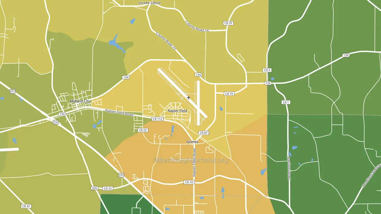Napier Field, AL block-group voter-turnout map