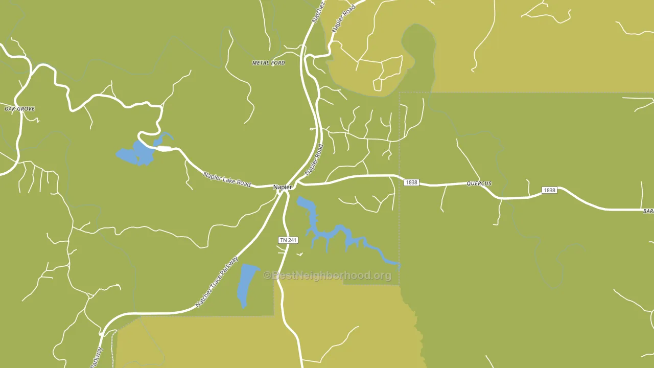 Napier, TN block-group voter-turnout map
