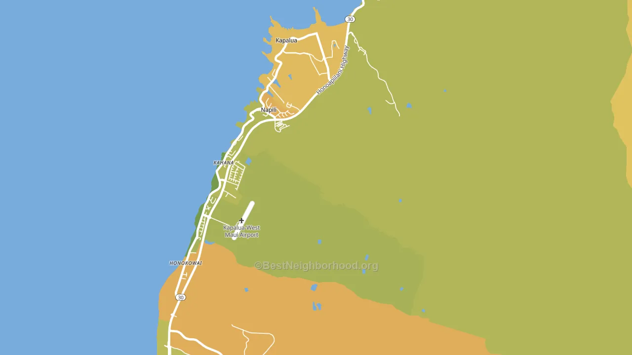 Napili, HI block-group voter-turnout map