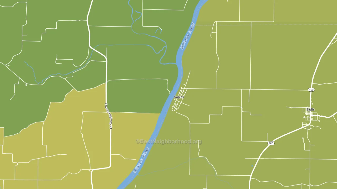Naples, IL block-group voter-turnout map