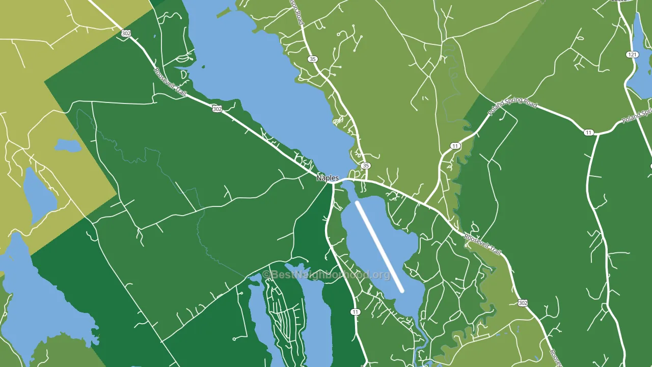 Naples, ME block-group voter-turnout map