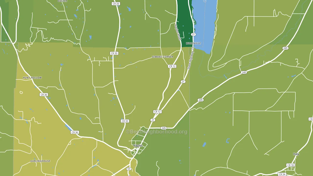 Naples, NY block-group voter-turnout map