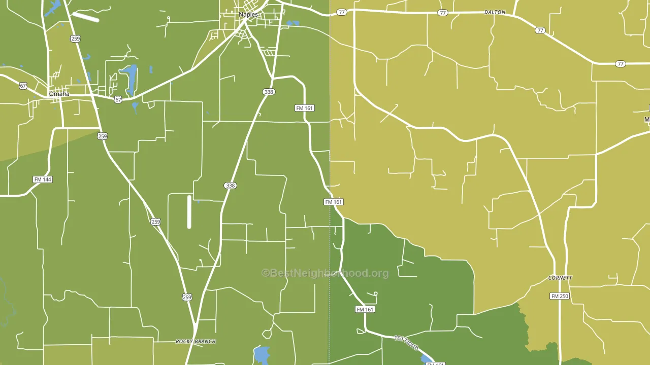 Naples, TX block-group voter-turnout map