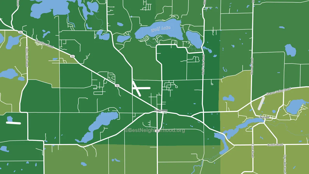 Napoleon, MI block-group voter-turnout map