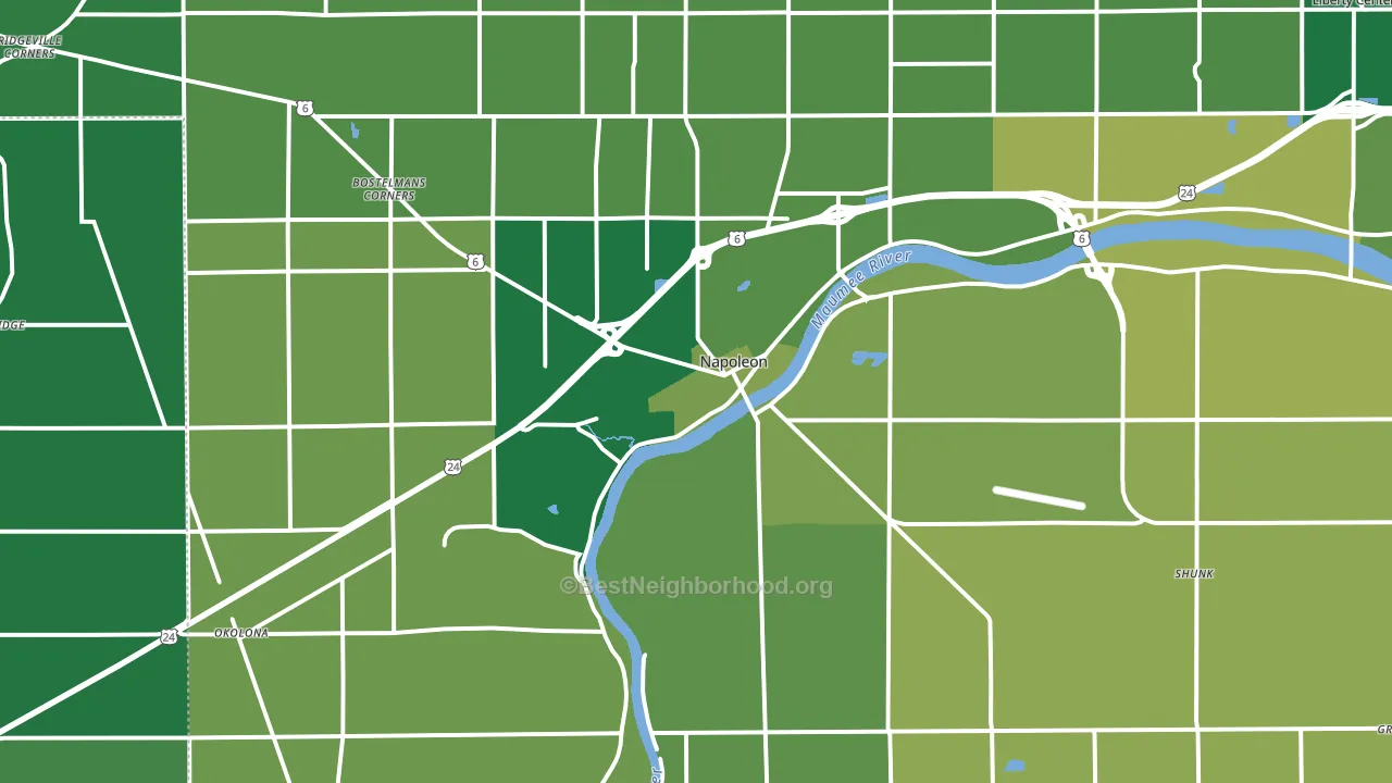Napoleon, OH block-group voter-turnout map