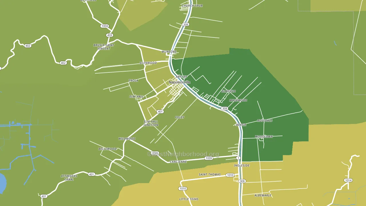 Napoleonville, LA block-group voter-turnout map