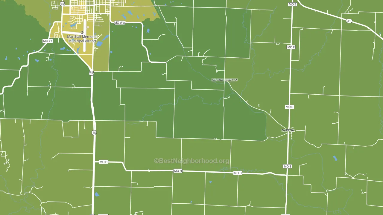 Napton, MO block-group voter-turnout map