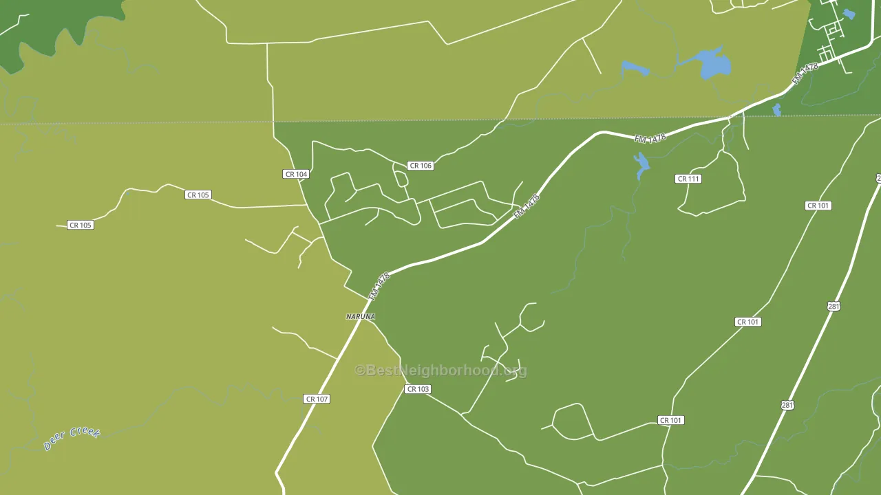 Naruna, TX block-group voter-turnout map