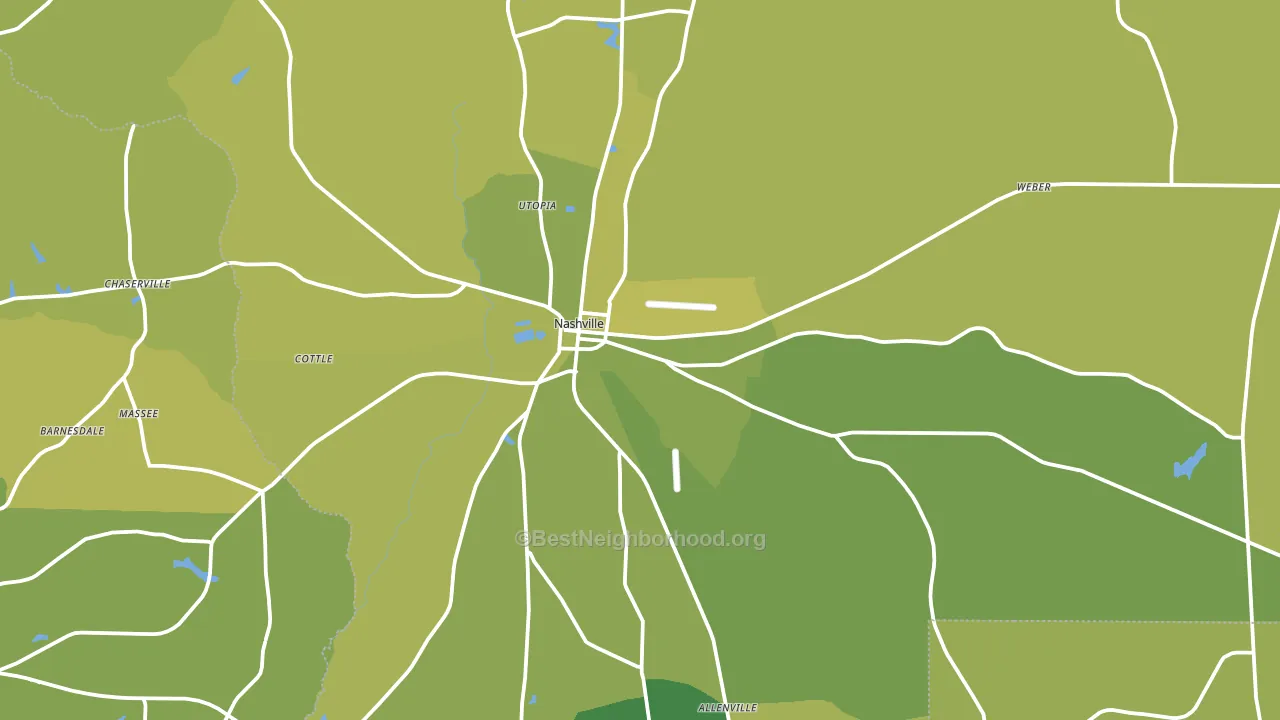 Nashville, GA block-group voter-turnout map