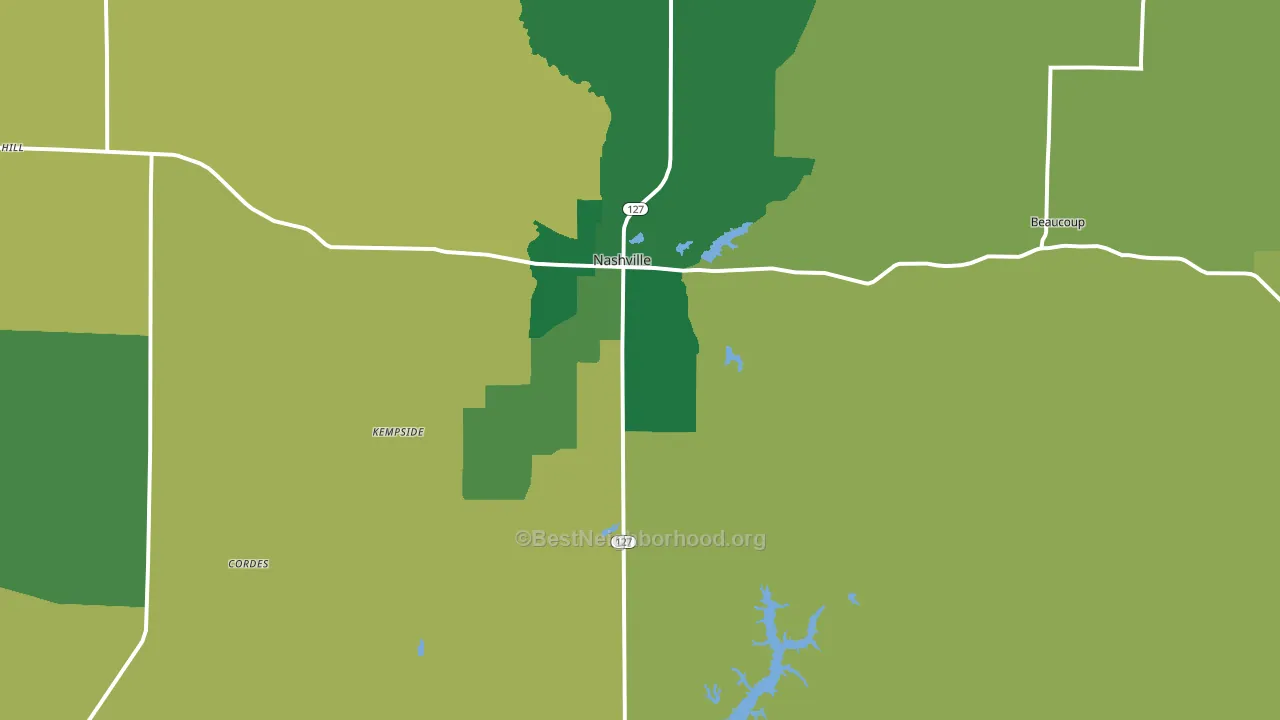 Nashville, IL block-group voter-turnout map