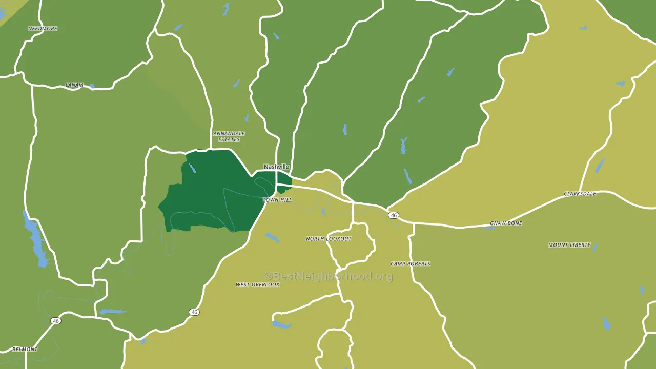Nashville, IN block-group voter-turnout map