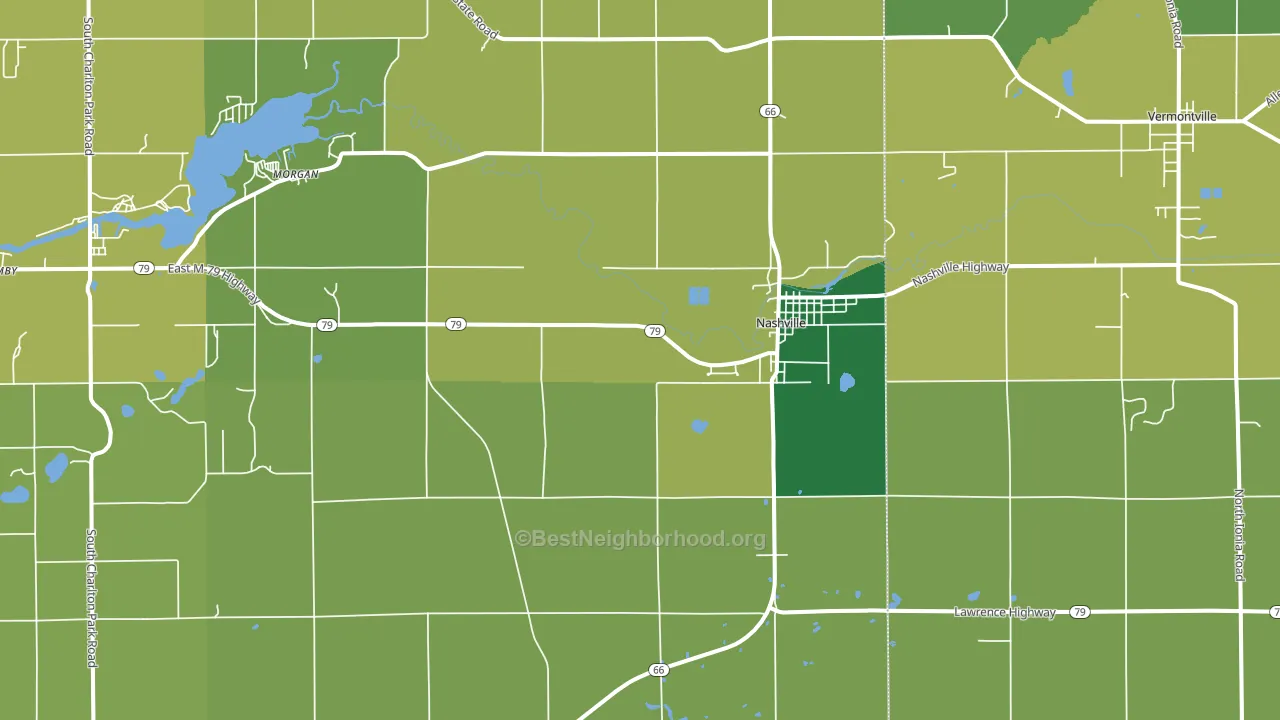 Nashville, MI block-group voter-turnout map