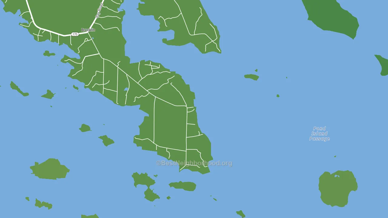 Naskeag, ME block-group voter-turnout map