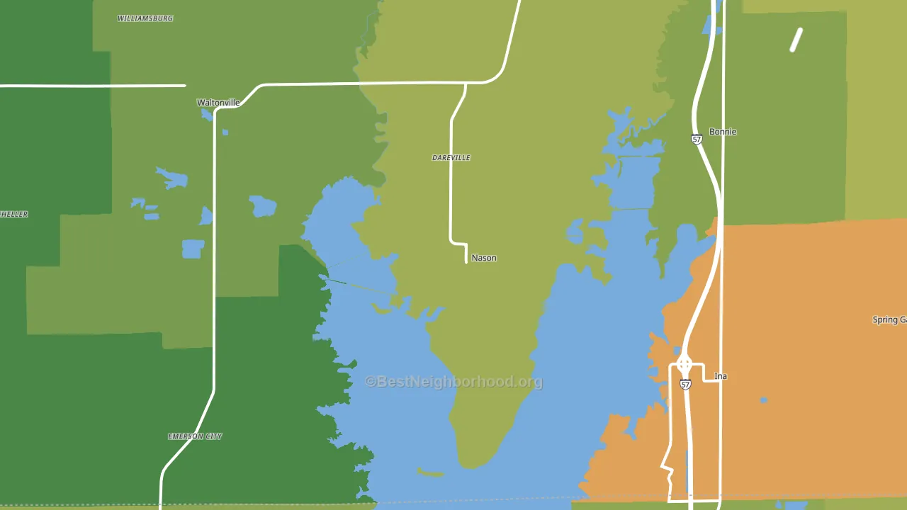 Nason, IL block-group voter-turnout map