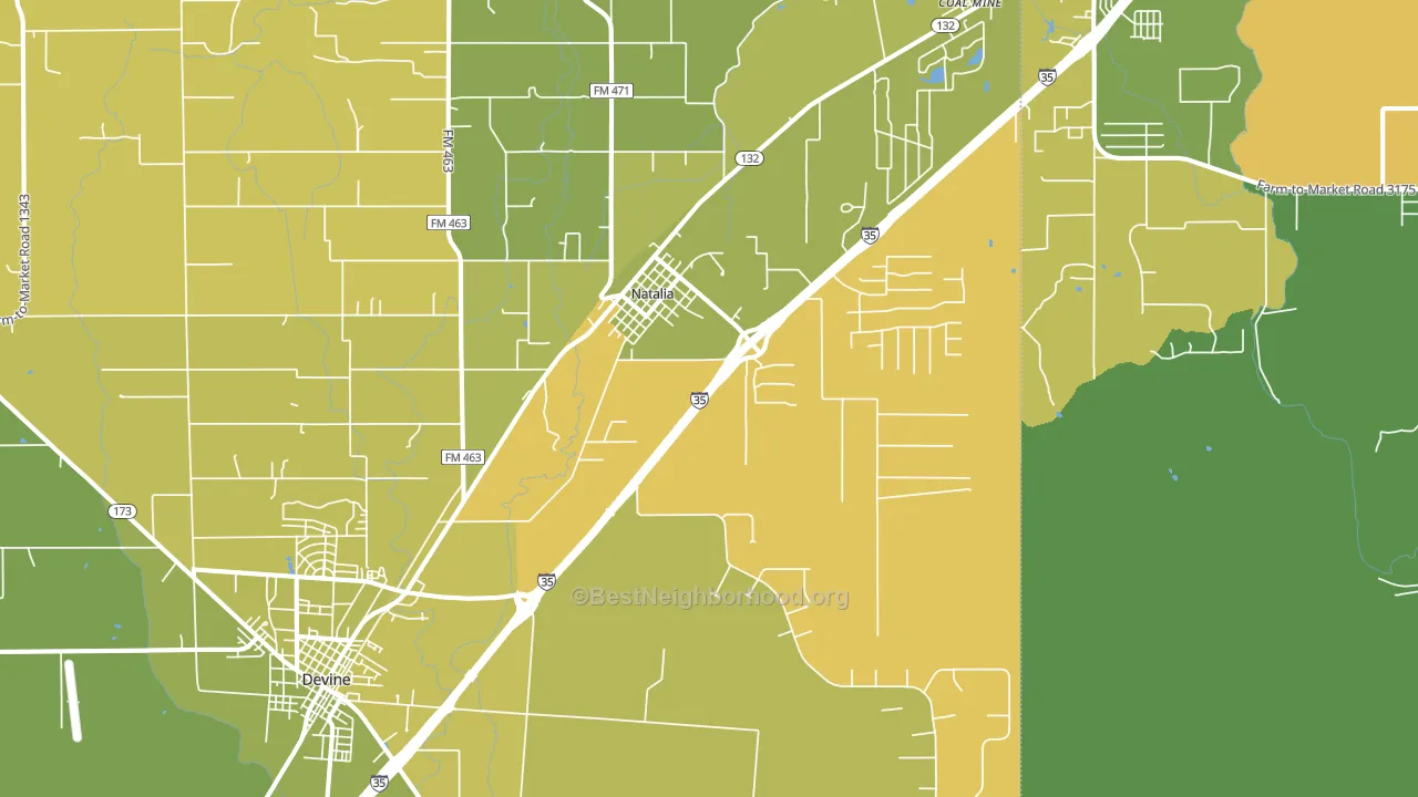 Natalia, TX block-group voter-turnout map