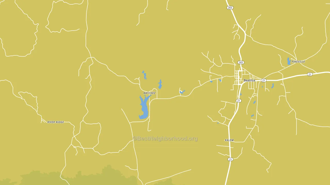 Natchez, AL block-group voter-turnout map