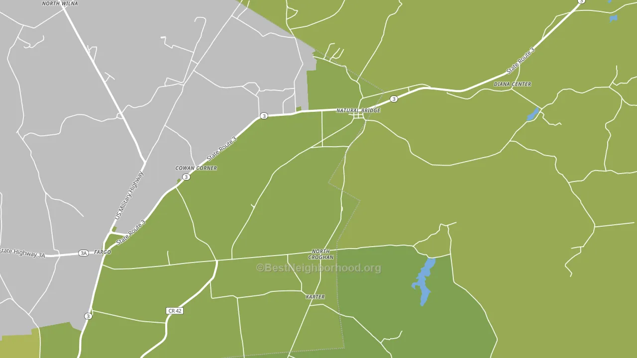 Natural Bridge, NY block-group voter-turnout map