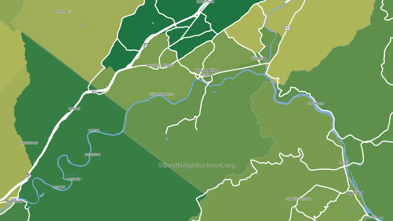 Natural Bridge Station, VA block-group voter-turnout map