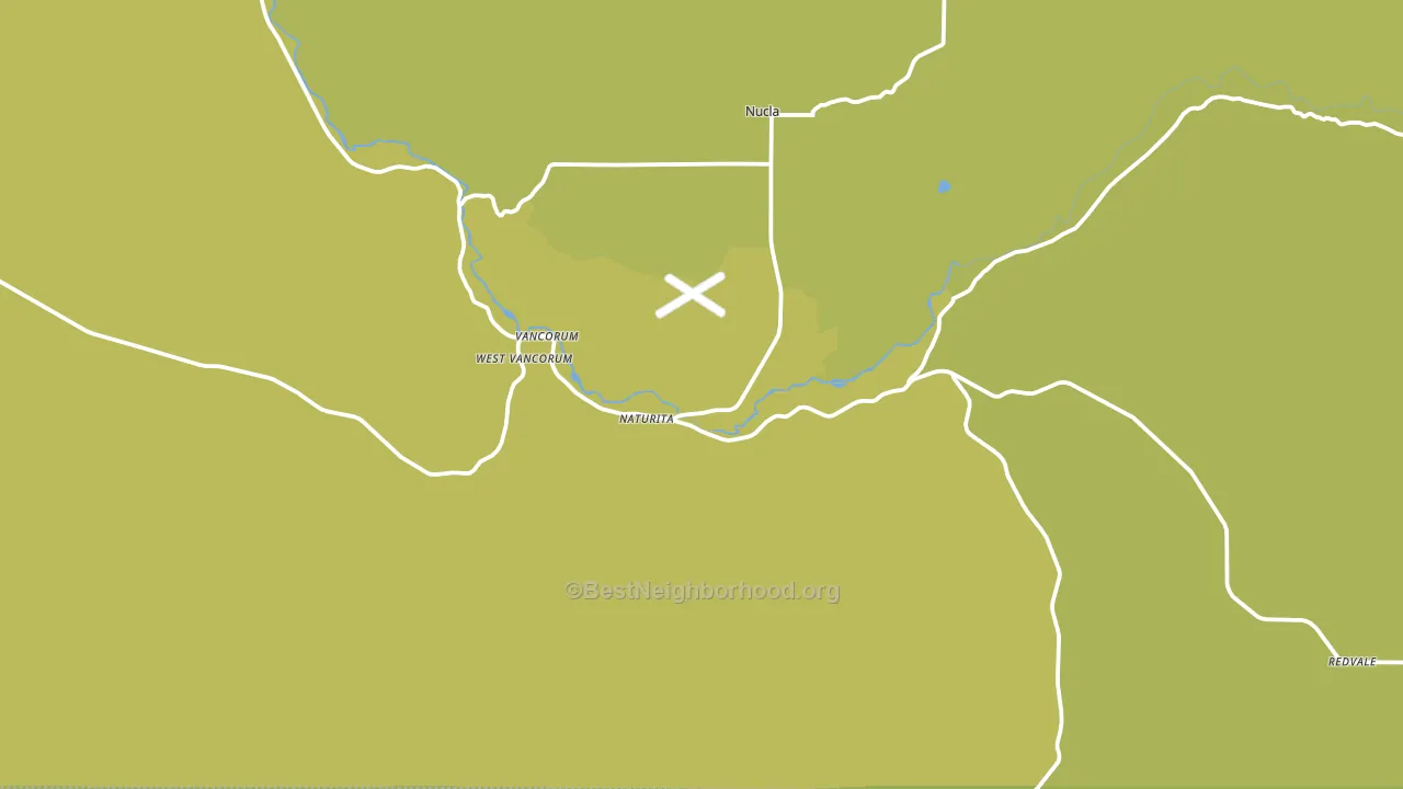 Naturita, CO block-group voter-turnout map
