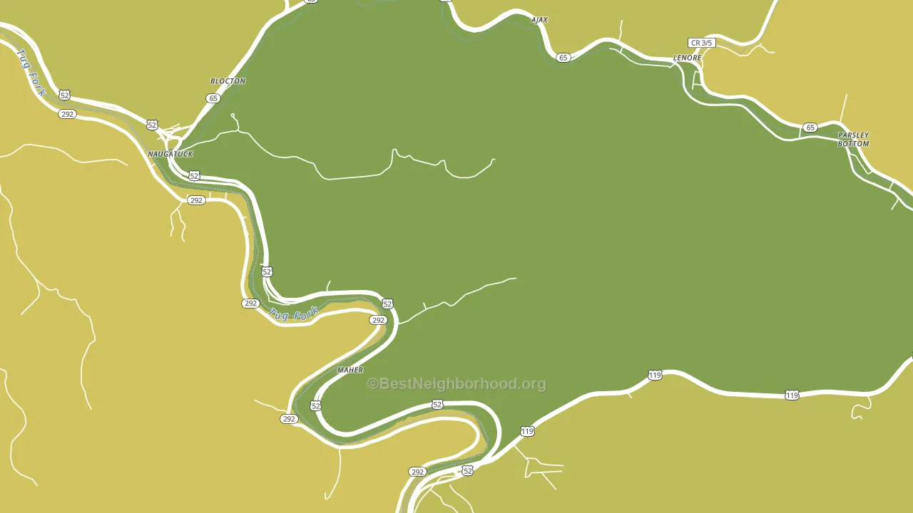 Naugatuck, WV block-group voter-turnout map