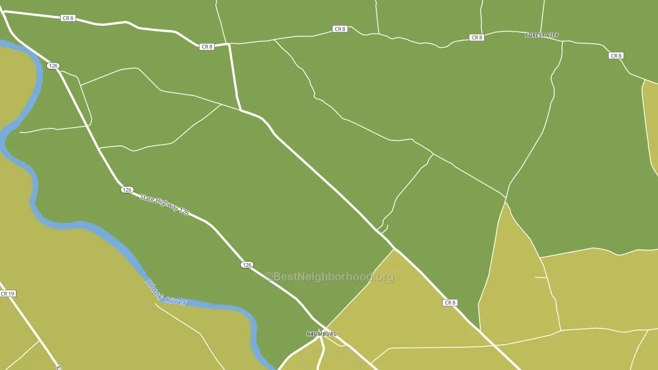 Naumburg, NY block-group voter-turnout map