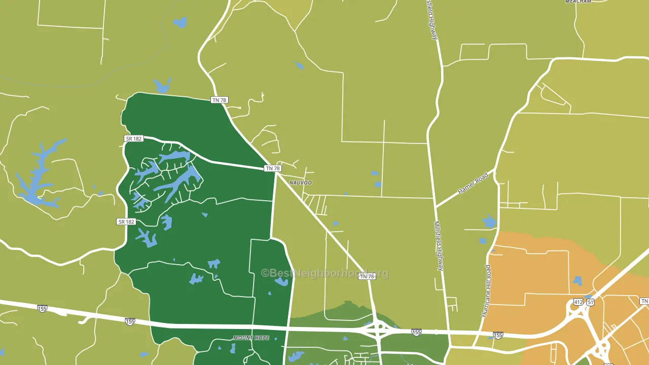 Nauvoo, TN block-group voter-turnout map