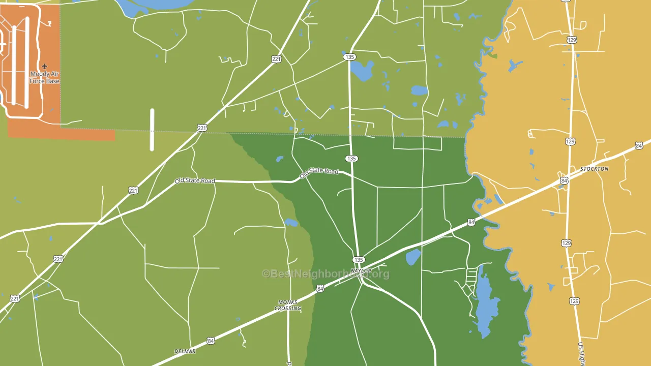 Naylor, GA block-group voter-turnout map