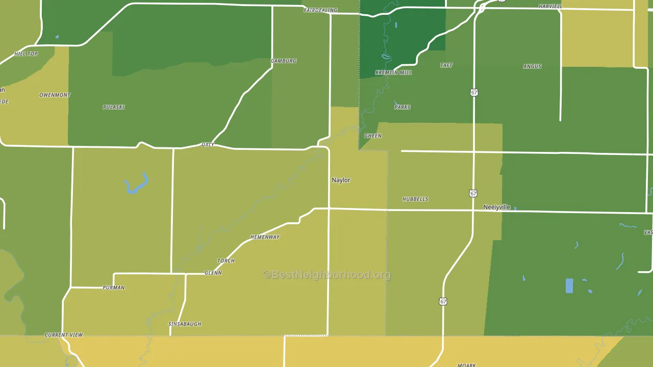 Naylor, MO block-group voter-turnout map