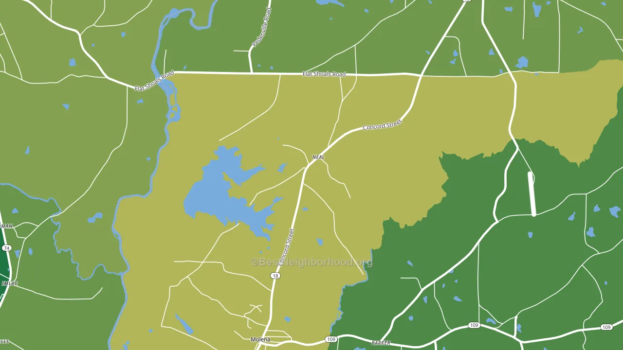 Neal, GA block-group voter-turnout map