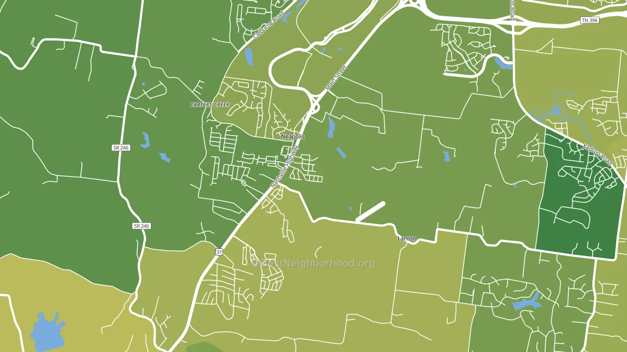 Neapolis, TN block-group voter-turnout map